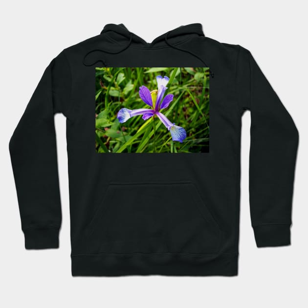 Iris Hoodie by Rob Johnson Photography